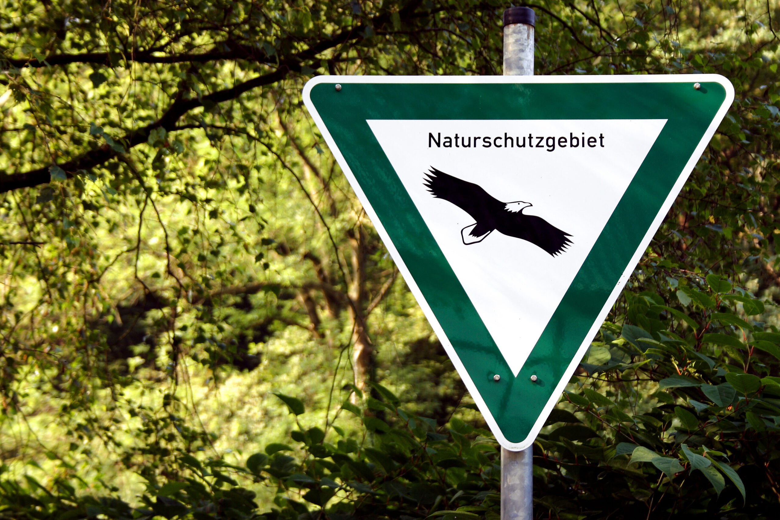Ein Schild, dass ein Naturschutzgebiet ausweist.